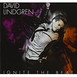 Ignite The Beat Lyrics David Lindgren 