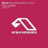 Something About You / First Contact Lyrics Grum
