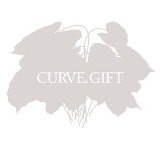 Gift Lyrics Curve