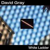 White Ladder Lyrics David Gray