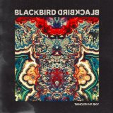 Blackbird Blackbird