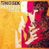 Restless Soul Lyrics Tingsek