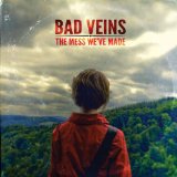 The Mess We've Made Lyrics Bad Veins
