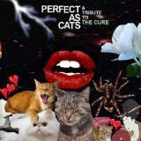Cats Lyrics Various Artists
