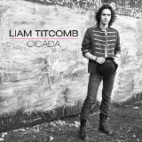 Cicada Lyrics Liam Titcomb