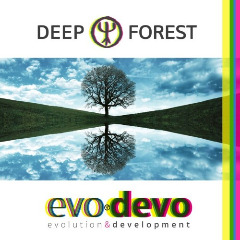 Evo Devo Lyrics Deep Forest