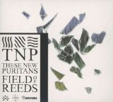 Field of Reeds Lyrics These New Puritans