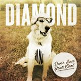Don't Lose Your Cool (EP) Lyrics Diamond