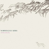 Wolf Like a Stray Dog Lyrics Norwegian Arms