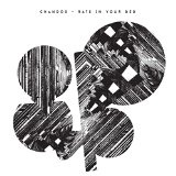 Rats in Your Bed Lyrics Chandos