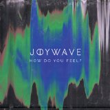 How Do You Feel Lyrics Joywave 