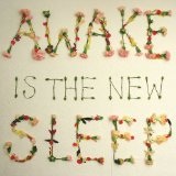Awake Is The New Sleep Lyrics Ben Lee