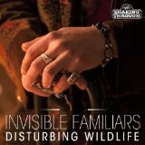 Disturbing Wildlife Lyrics Invisible Familiars