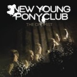 The Optimist Lyrics New Young Pony Club