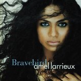 Bravebird Lyrics Amel Larrieux