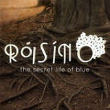 The Secret Life of Blue Lyrics Róisín O