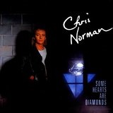 Some Hearts Are Diamonds Lyrics Chris Norman