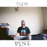 Pine Lyrics Plush