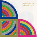 Joint Venture Lyrics Baobinga & Co