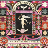 What a Terrible World, What a Beautiful World Lyrics The Decemberists