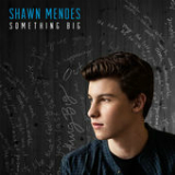 Something Big (Single) Lyrics Shawn Mendes