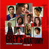 Grey's Anatomy 2 Lyrics Anya Marina