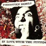 In Love With The System Lyrics Forgotten Rebels