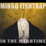 In the Meantime Lyrics Mingo Fishtrap