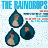 Miscellaneous Lyrics The Raindrops