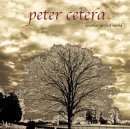 Another Perfect World Lyrics Cetera Peter