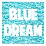 Blue Dream Lyrics Turnover
