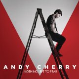 Nothing Left to Fear Lyrics Andy Cherry