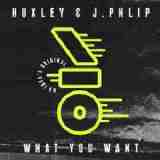 What You Want Lyrics Huxley & J.Phlip