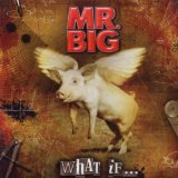 What If... Lyrics Mr. Big