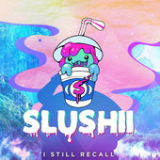 I Still Recall (Single) Lyrics Slushii