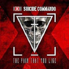 The Pain That You Like Lyrics Suicide Commando