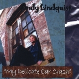 My Delicate Car Crash Lyrics Andy Lindquist