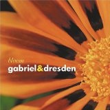 Bloom Lyrics Gabriel & Dresden