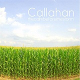 The Calm Before The Storm Lyrics Callahan