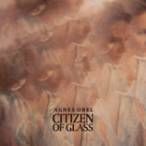 Citizen of Glass Lyrics Agnes Obel