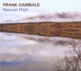 Natural High Lyrics Frank Gambale