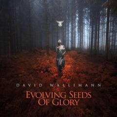 Evolving Seeds Of Glory Lyrics David Wallimann