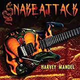 Snake Attack Lyrics Cilvaringz Feat. RZA