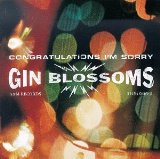 Congratulations I'm Sorry Lyrics Gin Blossoms
