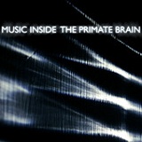 The Primate Brain Lyrics Music Inside
