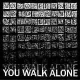 You Walk Alone Lyrics No Tolerance