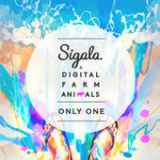 Only One (Radio Edit) [Single] Lyrics Sigala & Digital Farm Animals