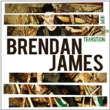 Hope In Transition Lyrics Brendan James