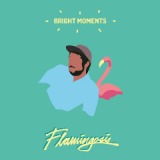 Bright Moments Lyrics Flamingosis