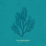 Parallels, Vol. I Lyrics The Woodlands